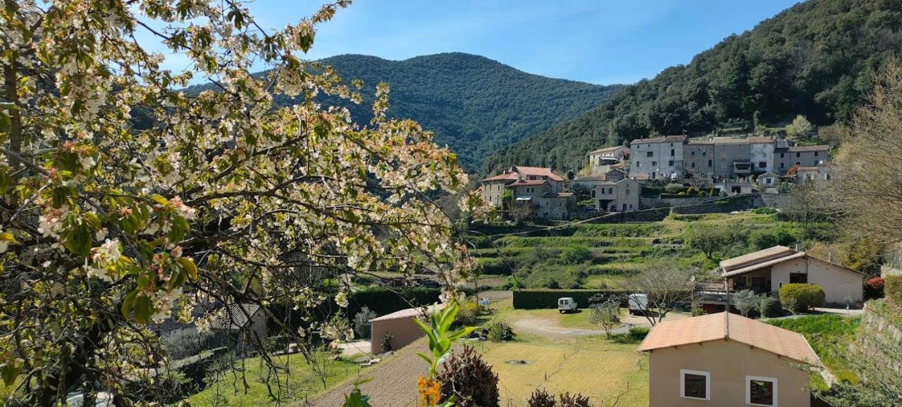 Maisonette En Cevennes Notre-Dame-de-la-Rouviere Екстер'єр фото